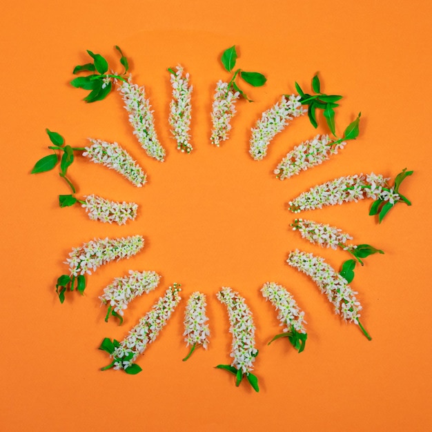 Een krans van witte kersen bloemen en groene bladeren op een oranje achtergrond Plaats voor een inscriptie View from above Blanco voor ansichtkaarten