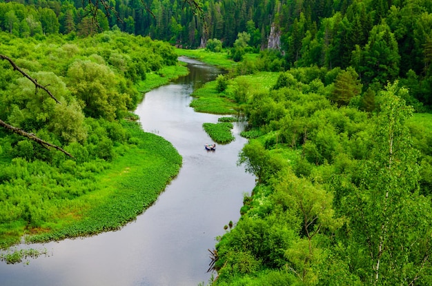 Een kronkelende rivier midden in een groen bos op een zomerdag.