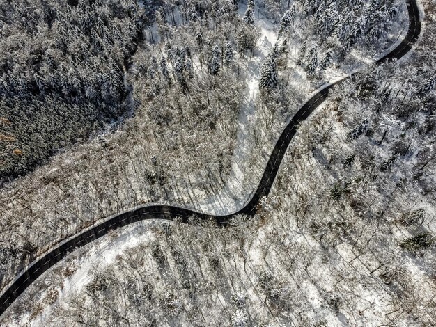 Foto een kronkelende weg door een besneeuwd bos.