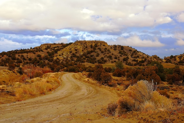 Een kronkelende weg in een semi-arid landschap met struiken en bergen