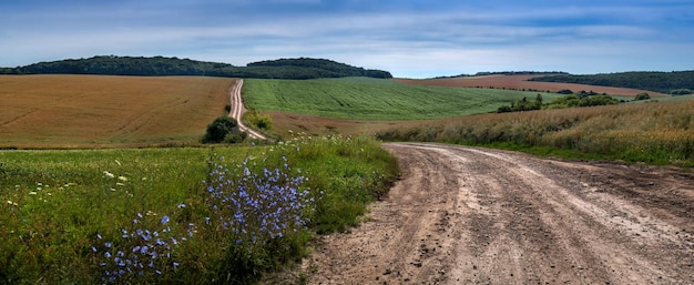 Een landelijke onverharde weg langs landbouwvelden met koolzaadsojabonen