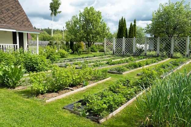 Foto een landhuis met mooie en verzorgde bedden