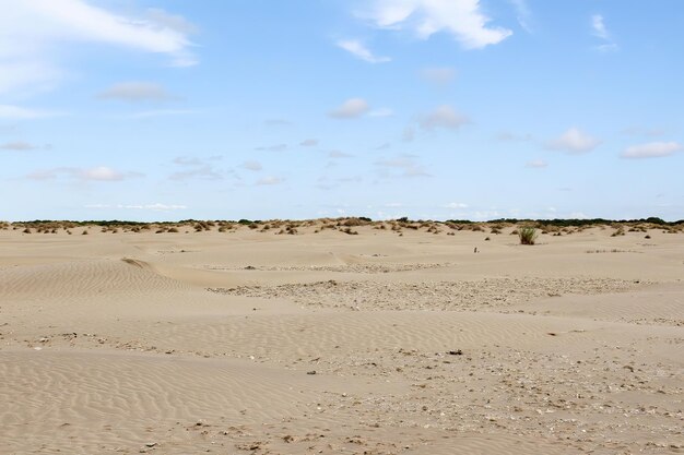 Foto een landschap van duinen op een zonnige dag