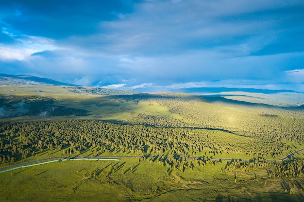 Een landschapsmening van mooi vers groen bos, weg Chui-tract en Altai-bergachtergrond. Panoramisch uitzicht op het prachtige groene bos in de Altai-bergen