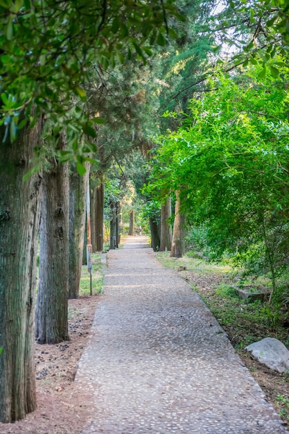 Een lange stenen loopbrug in een verlaten park