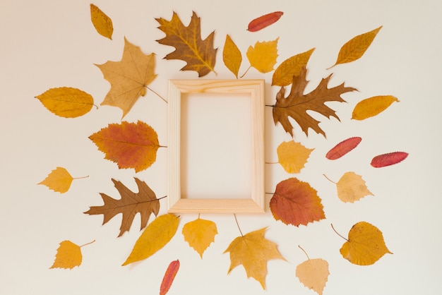 Een leeg houten frame omgeven door gele gevallen bladeren op een beige achtergrond. Herfst fla lay