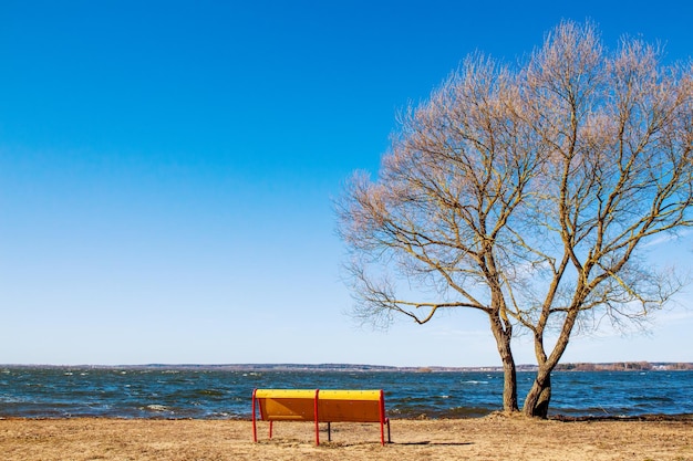 Een lege gele bank aan de oever van een groot stuwmeer op een heldere, heldere lentedag Leegte