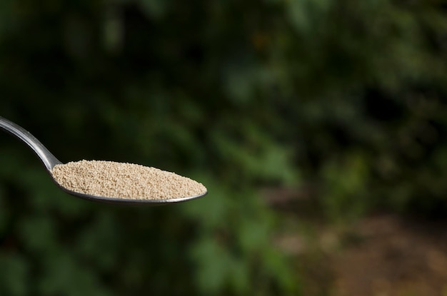 een lepel bakpoeder met een metalen lepel op de achtergrond van een natuurlijk park natuurlijke voedselfermentatie voor brood