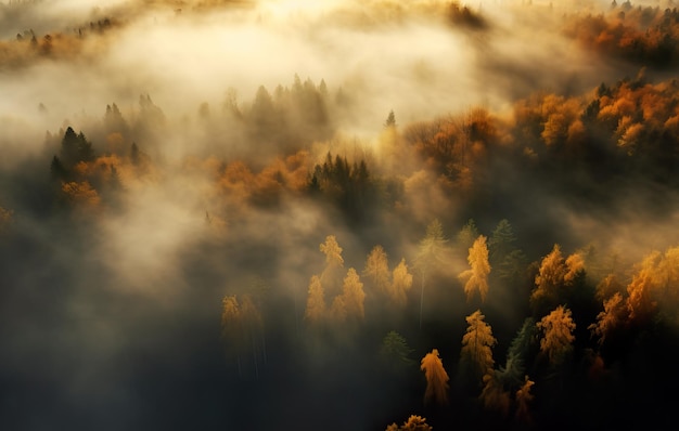 Foto een levendig luchtbeeld van een kleurrijk herfstlandschap