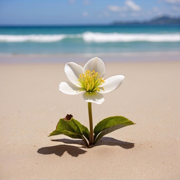 Een levendige bloem bloeit op het zand op een strand onder de zomerblauwe lucht Natuurlandschap