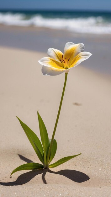 Een levendige bloem bloeit op het zand op een strand onder de zomerblauwe lucht Natuurlandschap