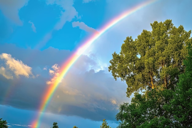 Een levendige regenboog die zich over de lucht uitstrekt