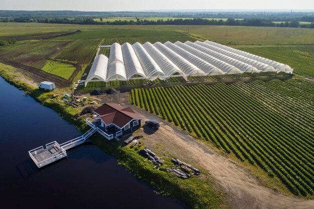 Een luchtfoto toont kassen voor het kweken van aardbeien van bovenaf landelijke landbouw houten huis aan de oever van de rivier