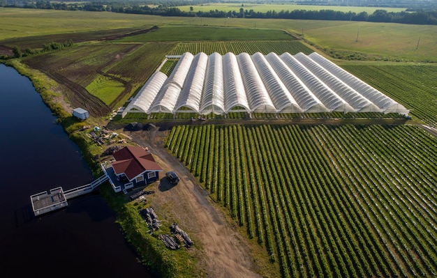 Een luchtfoto toont kassen voor het telen van aardbeien van bovenaf Landelijke landbouw