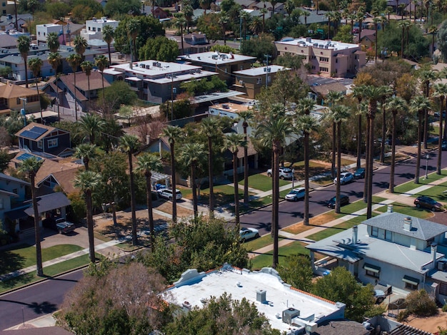 Foto een luchtfoto van californische palmen met een lege weg