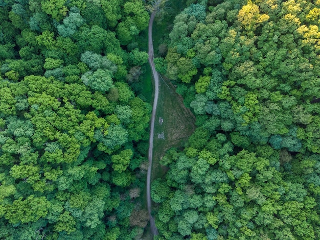 Een luchtfoto van een smalle weg langs weelderige groene bomen in het bos