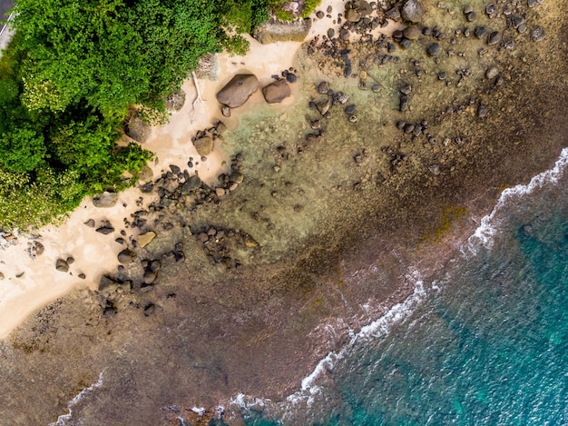 Een luchtfoto van een strand met een bos op de achtergrond