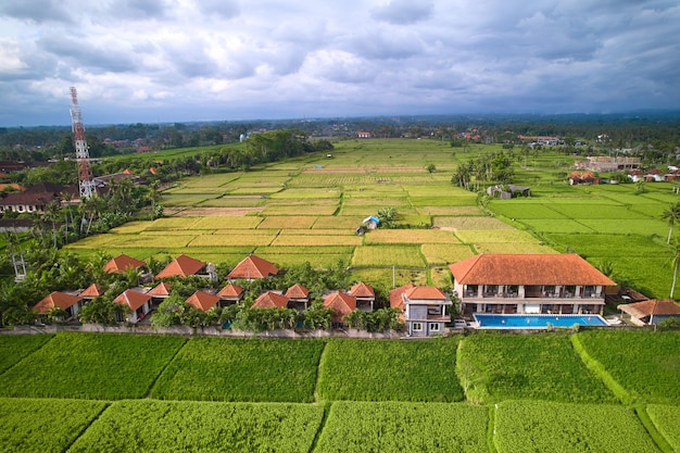 Een luchtfoto van gebouwen in een rijstveld Een hotelcomplex met villa's op een rijstplantage