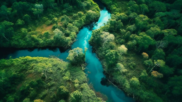 Een luchtfoto van het Amazone-regenwoud met een rivier door de jungle