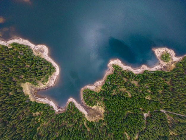 Een luchtfoto van het dennenbos bij het Grote Meer in het Rodopegebergte in Bulgarije biedt een prachtig perspectief op het weelderige groen en het kristalheldere water