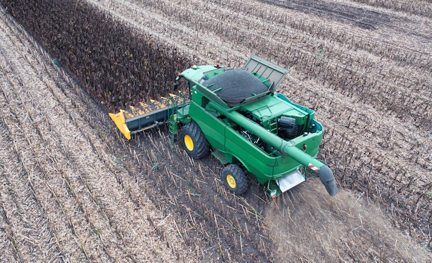 Een maaidorser en een vrachtwagen oogsten zonnebloemen in het veld