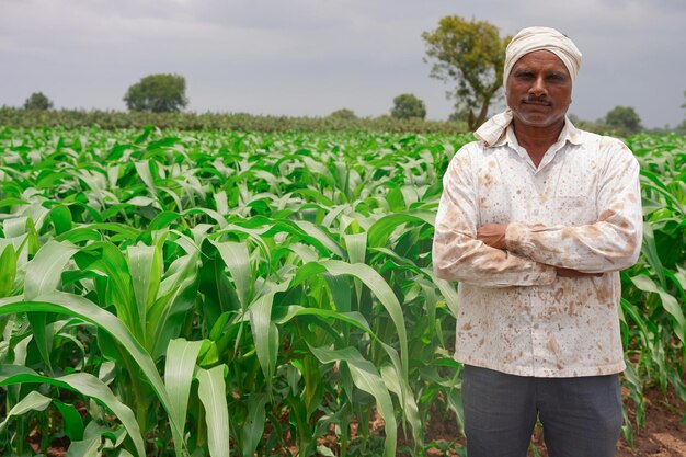 Foto een maïsveld met een indiase boer