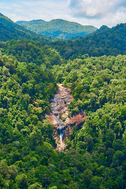 Een majestueuze waterval stroomt langs de klif in de dichte jungle.