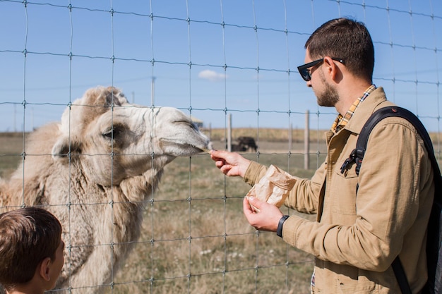 Een man die een kameel voedt in de dierentuin