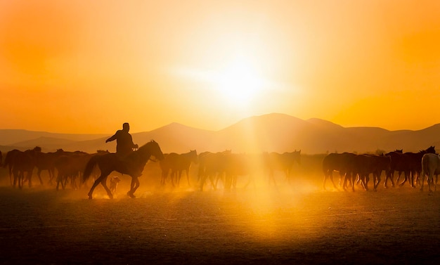 een man die op een paard rijdt met de zon achter hem