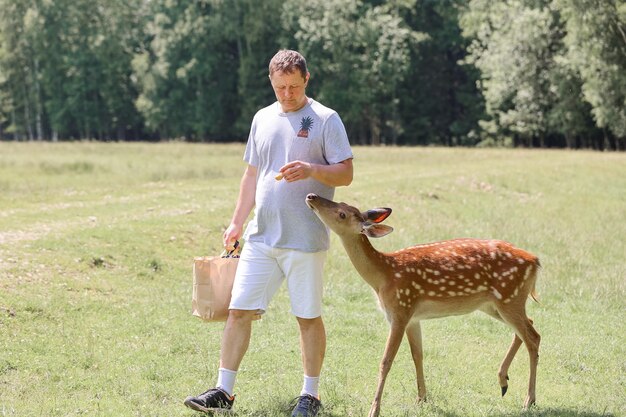 Een man die schattige gevlekte herten bambi voedt in de contactdierentuin. Gelukkige reiziger man geniet van gezelligheid met wilde dieren in het nationaal park in de zomer.