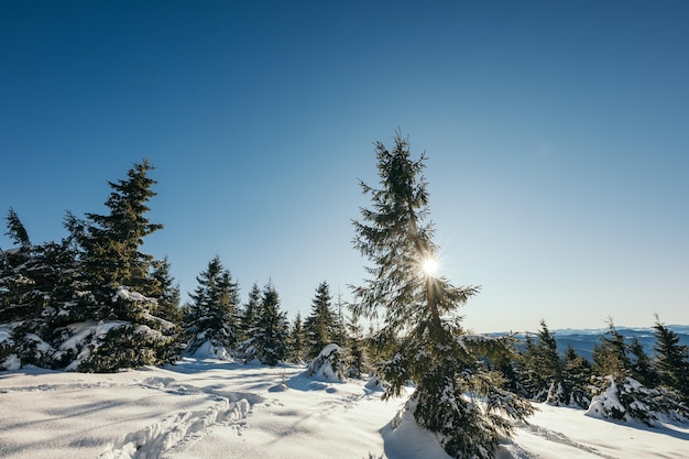 Een man die skiet op een besneeuwde helling