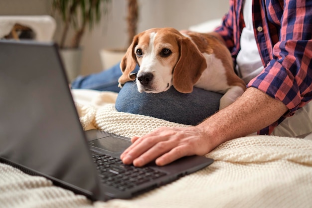 Een man en zijn beagle veroveren samen werkzaamheden geconcentreerd en harig concept dat de productiviteit verhoogt