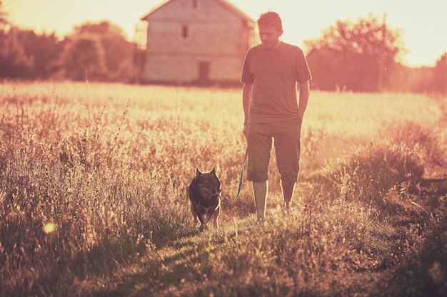 Een man loopt met een hond in een veld bij zonsondergang Man houdt de hond aan de lijn