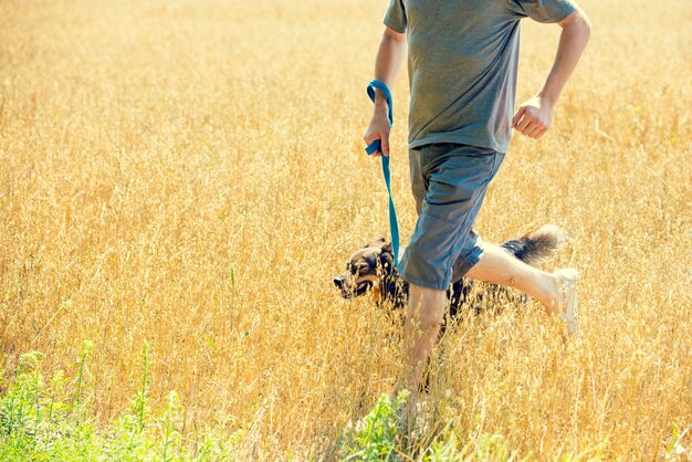 Een man met een aangelijnde hond rent in de zomer door het haverveld
