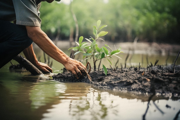 Een man plant een boom in het water