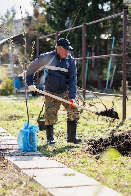 Een man plant een jonge boom De boer graaft de grond met een schop voor een kleine zaailing Het concept van bescherming van het milieu en ecologie