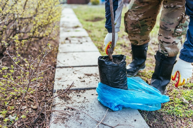 Een man plant een jonge fruitboom De boer pakt een nieuwe zaailing uit en stopt deze in de grond Het concept van milieubescherming en ecologie