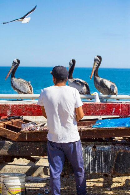 Een man staat naast een vismarkt met pelikanen op de vismarkt in Valparaiso, Chili