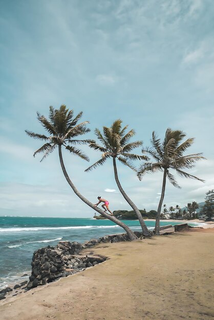 Een man staat op een strand met een surfplank en een palmboom.