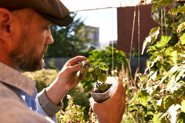 Een mannelijke boer houdt een boomzaailing in zijn hand om in de moestuin te planten zaailing plant spruit in de bodem concept landbouw landbouw