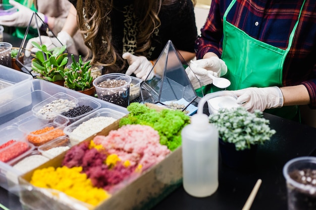 Een masterclass in het planten van cactussen en sukkulentov in de vorm van glas