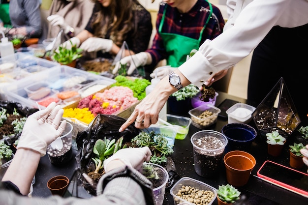 Een masterclass in het planten van cactussen en sukkulentov in de vorm van glas