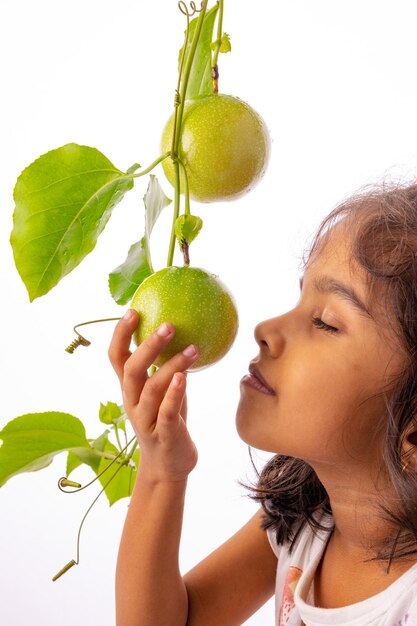 Een meisje dat de verse groene passievrucht aan de wijnstok aanraakt met een witte achtergrond geïsoleerd