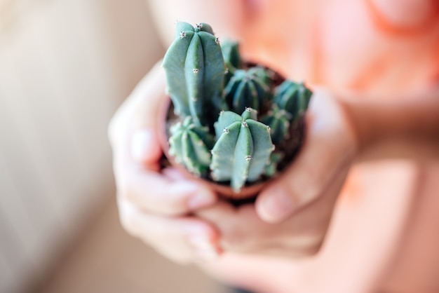 Een meisje dat een kleine ingemaakte cactus vasthoudt met een onscherpe achtergrond