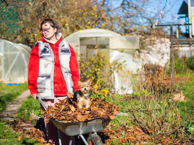 Een meisje doet de herfstschoonmaak in de tuin een meisje met een kruiwagen gevuld met bladeren