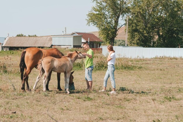 Een meisje en een jongen aaien een veulen in de wei Boerderijpaardenverzorging