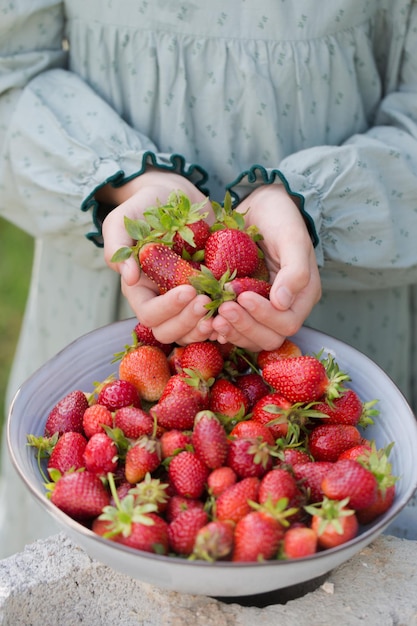 Foto een meisje houdt verse aardbeien in haar handen.