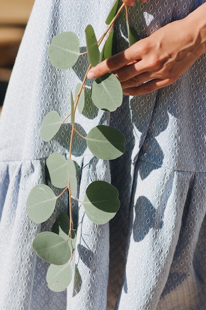 Een meisje in een blauwe jurk heeft een groene eucalyptustak in haar handen. levende bladeren