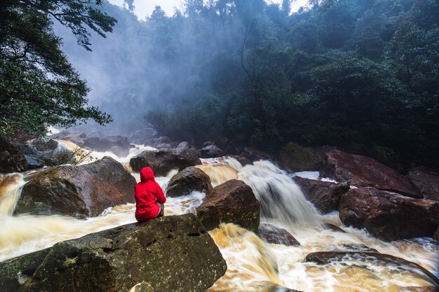 Een meisje in een rode jas zittend op de rots in de regenwoud stroom.