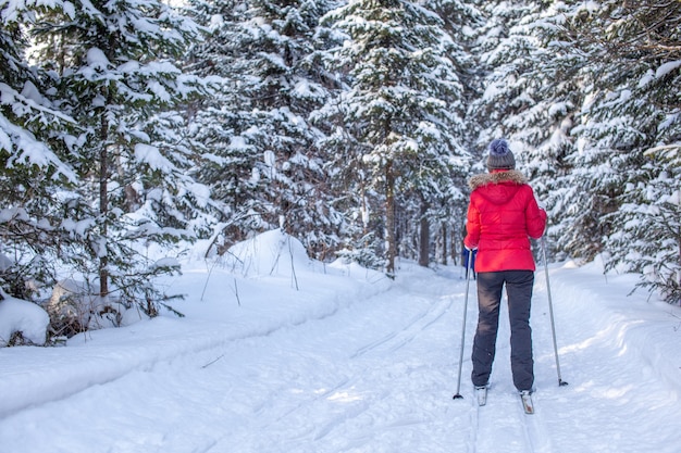 Een meisje in een rood jasje gaat in de winter skiën in een besneeuwd bos. Het uitzicht vanaf de achterkant. Sneeuwachtergrond met ski's tussen de bomen.